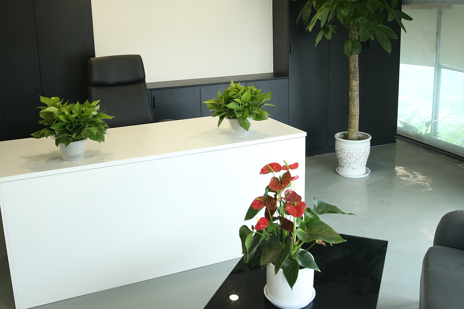 ohac-7